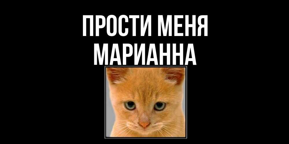 Открытка на каждый день с именем, Марианна Прости меня рыжий грустный кот просит прощения Прикольная открытка с пожеланием онлайн скачать бесплатно 
