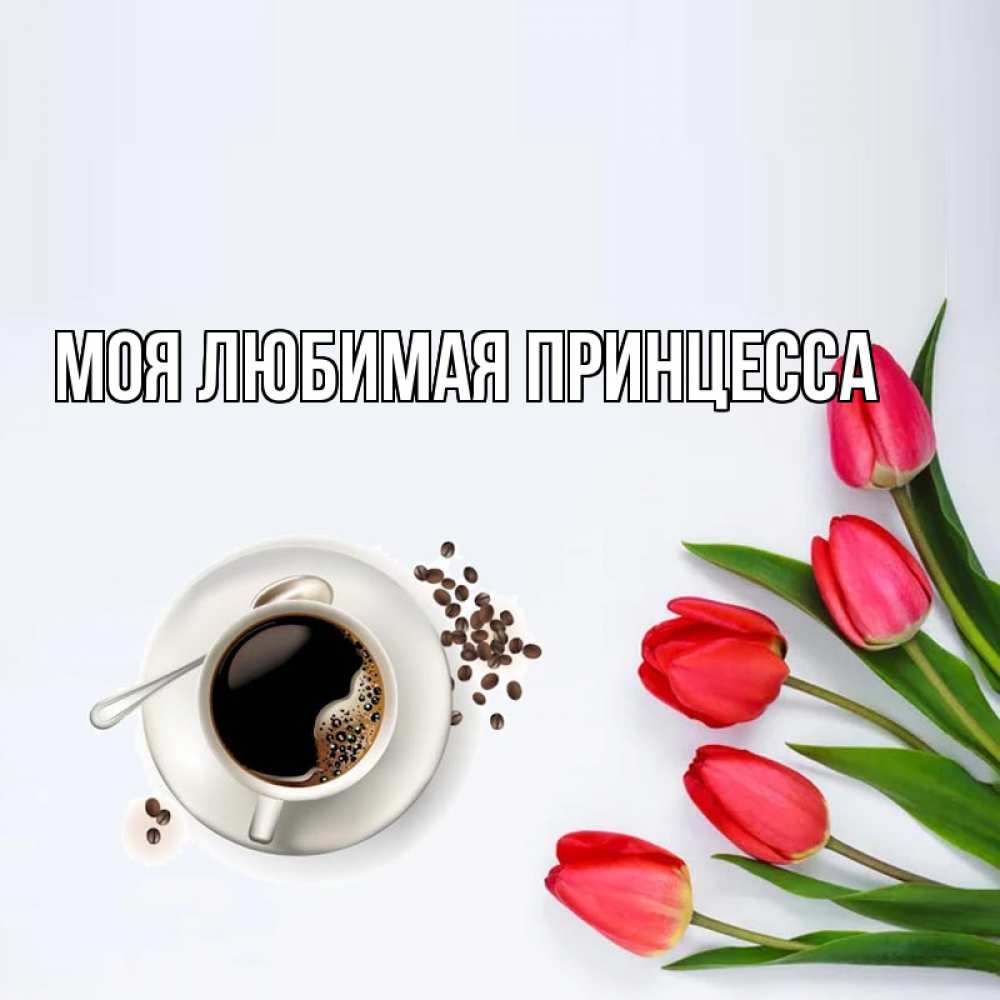 Открытка на каждый день с именем, Моя-Любимая-Принцесса Главная красное блюдце Прикольная открытка с пожеланием онлайн скачать бесплатно 