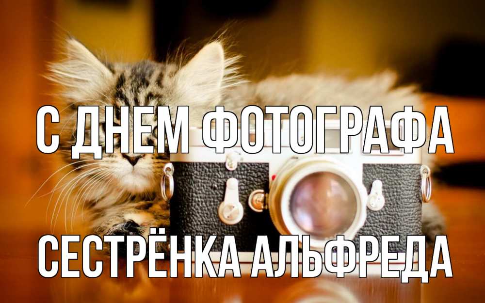 Открытка на каждый день с именем, Сестрёнка-Альфреда С днем фотографа с днем фотографа Прикольная открытка с пожеланием онлайн скачать бесплатно 