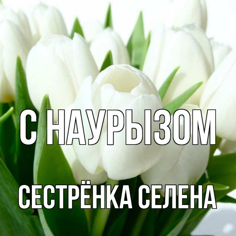 Открытка на каждый день с именем, Сестрёнка-Селена С наурызом цветы Прикольная открытка с пожеланием онлайн скачать бесплатно 