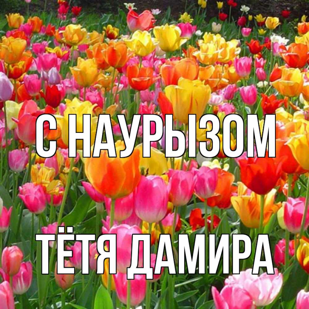 Открытка на каждый день с именем, Тётя-Дамира С наурызом праздник весны наурыз 4 Прикольная открытка с пожеланием онлайн скачать бесплатно 