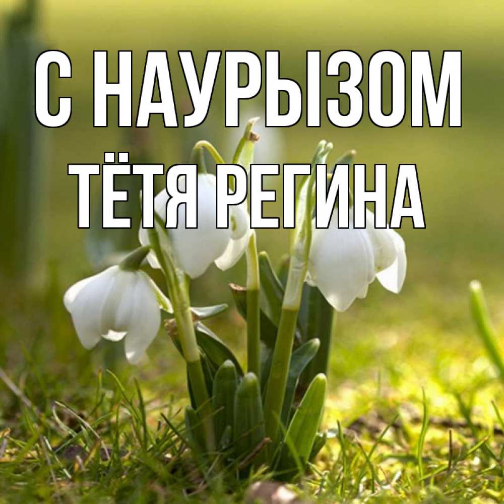 Открытка на каждый день с именем, Тётя-Регина С наурызом ранние цветы 2 Прикольная открытка с пожеланием онлайн скачать бесплатно 