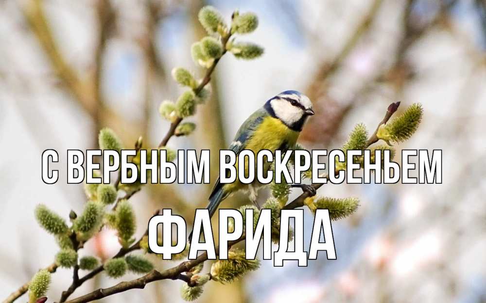 Открытка на каждый день с именем, Фарида С вербным воскресеньем верба Прикольная открытка с пожеланием онлайн скачать бесплатно 