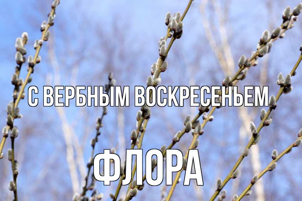 Открытка на каждый день с именем, Флора С вербным воскресеньем верба Прикольная открытка с пожеланием онлайн скачать бесплатно 