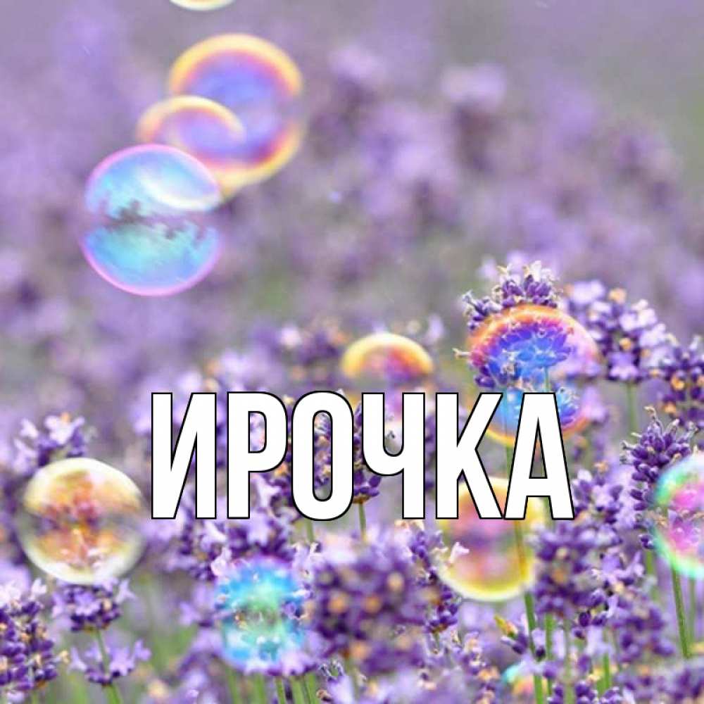 Открытка на каждый день с именем, ирочка Главная цветы Прикольная открытка с пожеланием онлайн скачать бесплатно 