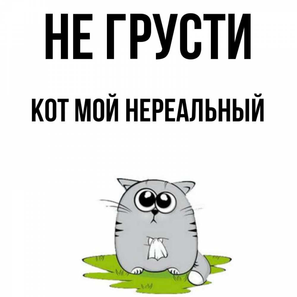 Котик не грусти картинки