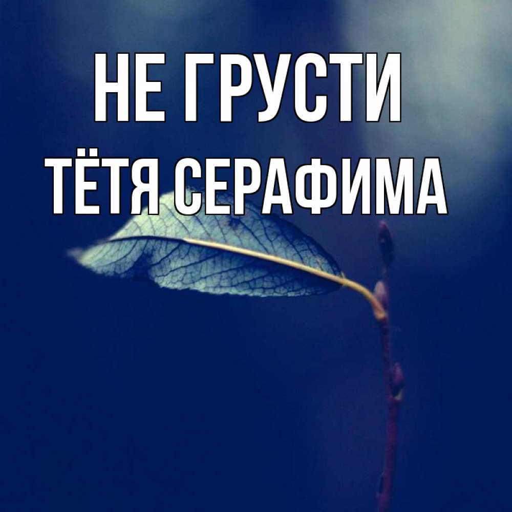 Открытка на каждый день с именем, Тётя-Серафима Не грусти растение Прикольная открытка с пожеланием онлайн скачать бесплатно 