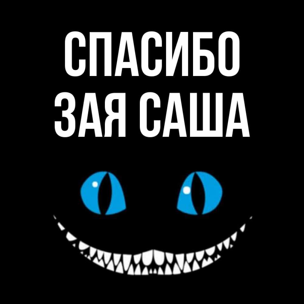 Спасибо саша. Саша зая. Спасибо зая картинки. Сашенька картинки. Спасибо Сашенька.