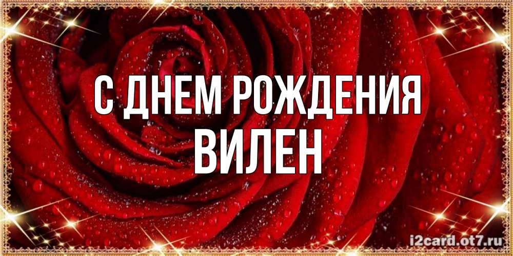 Открытка на каждый день с именем, Вилен С днем рождения роса на розе блестящая в лучах солнца Прикольная открытка с пожеланием онлайн скачать бесплатно 