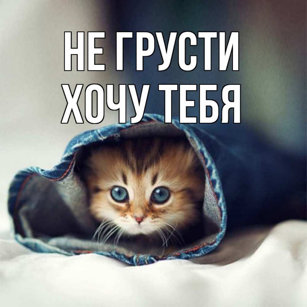 Картинка Не грусти, Хочу тебя