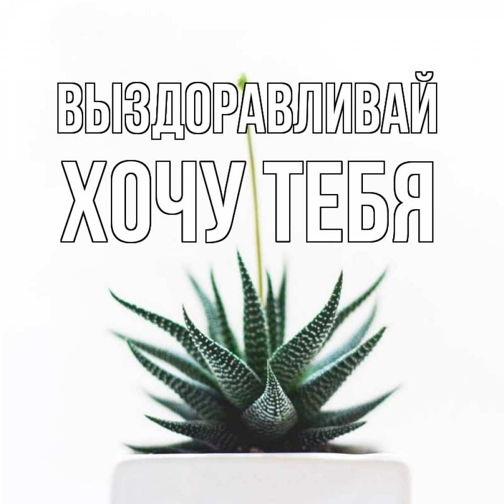 Картинка Выздоравливай, Хочу тебя