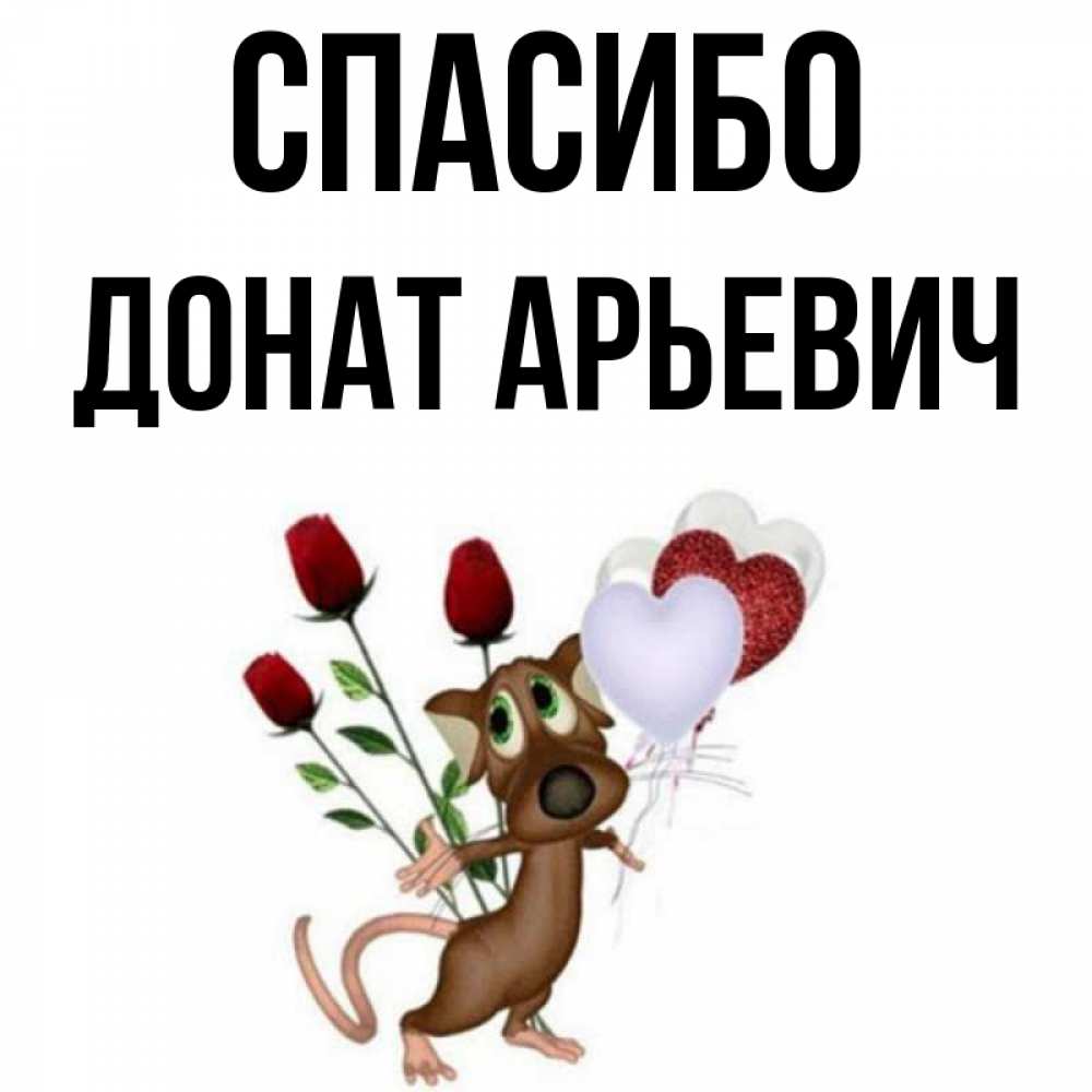 Спасибо за донат. Спасибо за донат