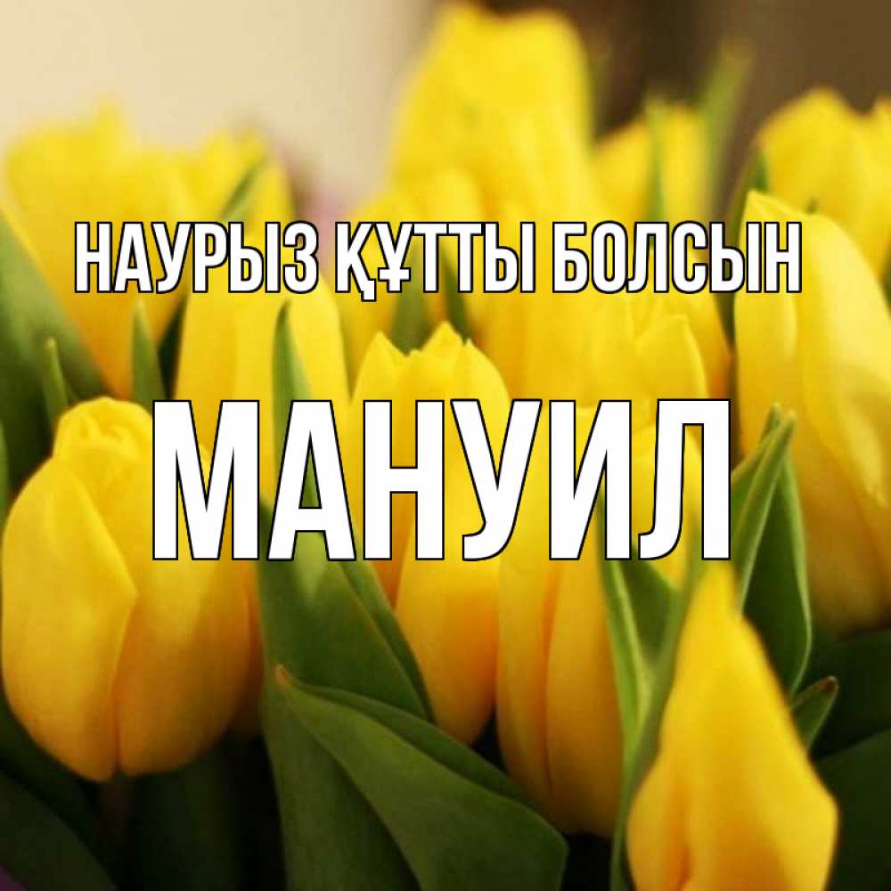 Открытка на каждый день с именем, Мануил Наурыз құтты болсын цветы Прикольная открытка с пожеланием онлайн скачать бесплатно 