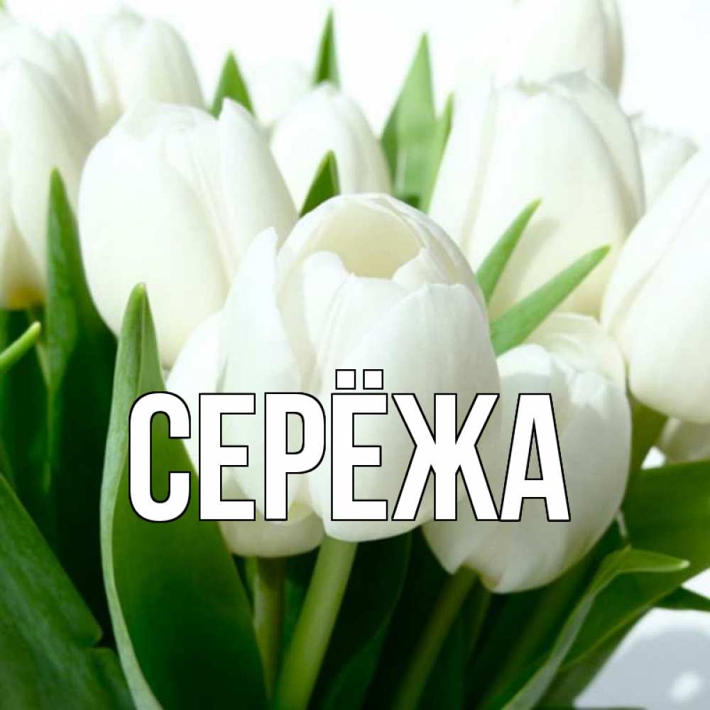 Открытка на каждый день с именем, Серёжа Главная открытки на каждый день по именам Прикольная открытка с пожеланием онлайн скачать бесплатно 