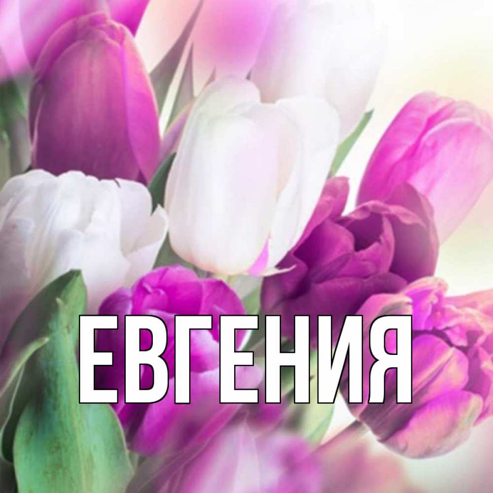 Картинки для евгения