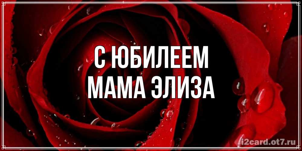 Открытка на каждый день с именем, Мама-Элиза С юбилеем крупная бордовая роза Прикольная открытка с пожеланием онлайн скачать бесплатно 