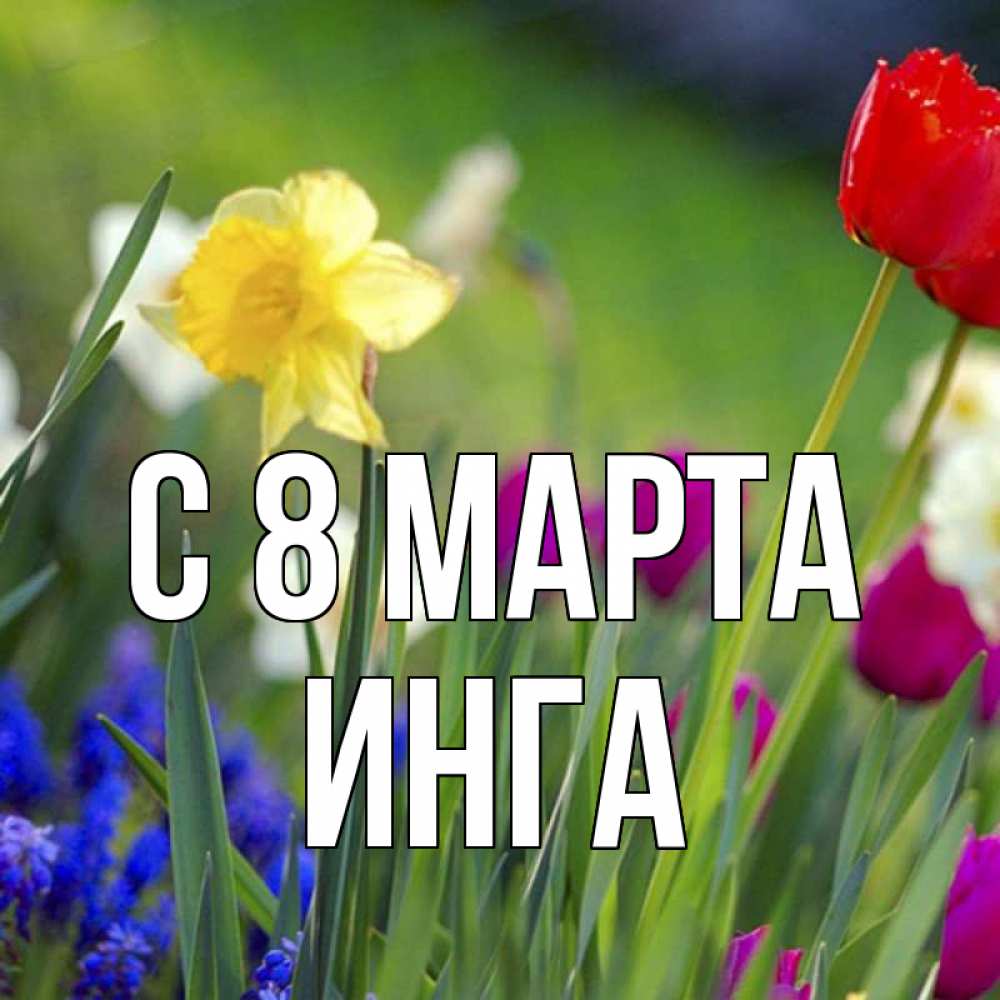 Открытка на каждый день с именем, Инга С 8 марта международный женский день 3 Прикольная открытка с пожеланием онлайн скачать бесплатно 