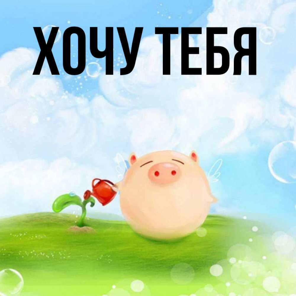 Открытка на каждый день с именем, Хочу-тебя Главная поливает цветок порося Прикольная открытка с пожеланием онлайн скачать бесплатно 