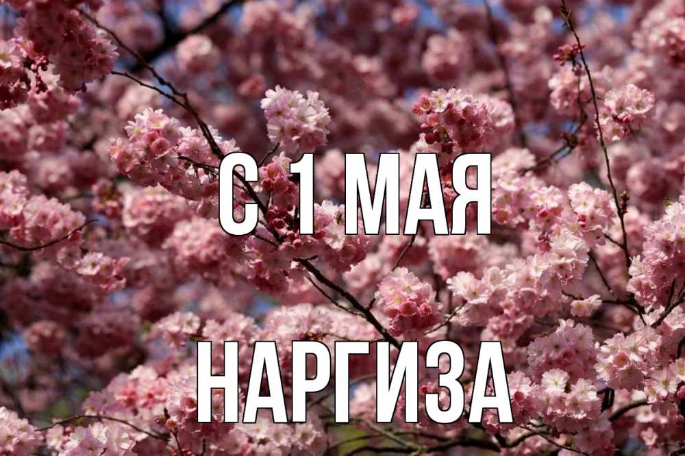 17 мая картинки красивые
