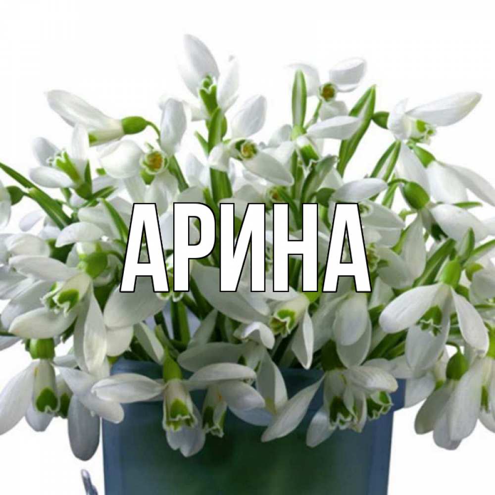 Открытка на каждый день с именем, Арина Главная цветы к международному женскому дню Прикольная открытка с пожеланием онлайн скачать бесплатно 