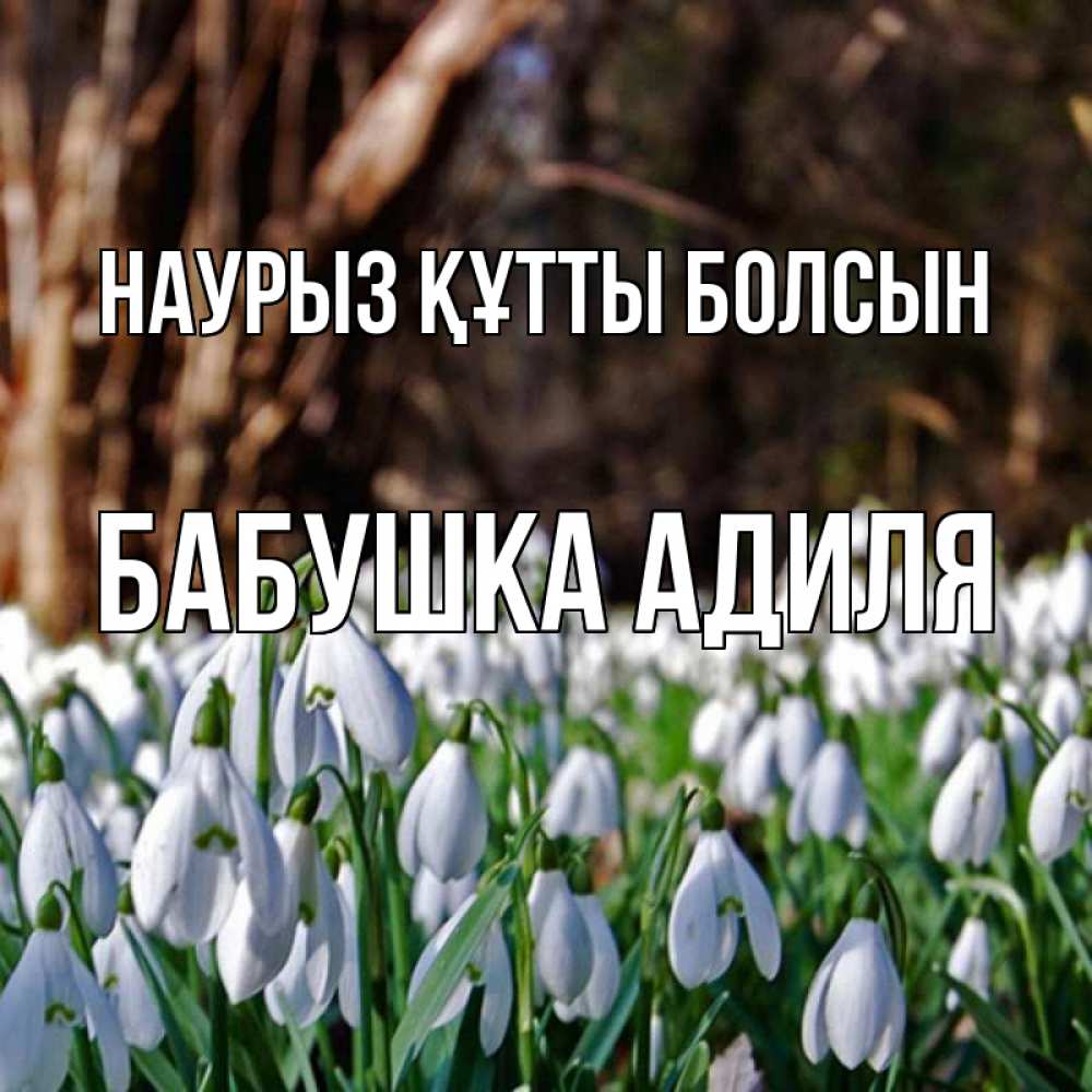Открытка на каждый день с именем, Бабушка-Адиля Наурыз құтты болсын с подснежниками 1 Прикольная открытка с пожеланием онлайн скачать бесплатно 