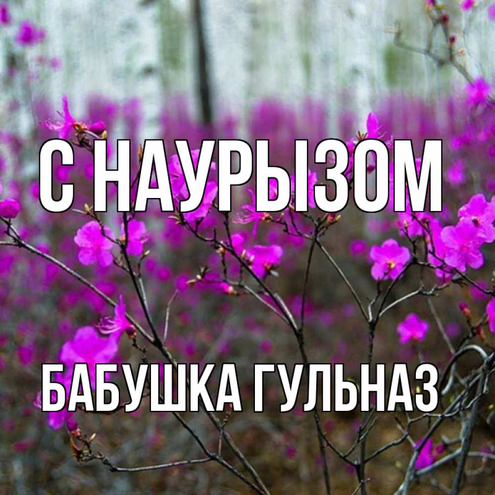 Открытка на каждый день с именем, Бабушка-Гульназ С наурызом дикие цветы Прикольная открытка с пожеланием онлайн скачать бесплатно 
