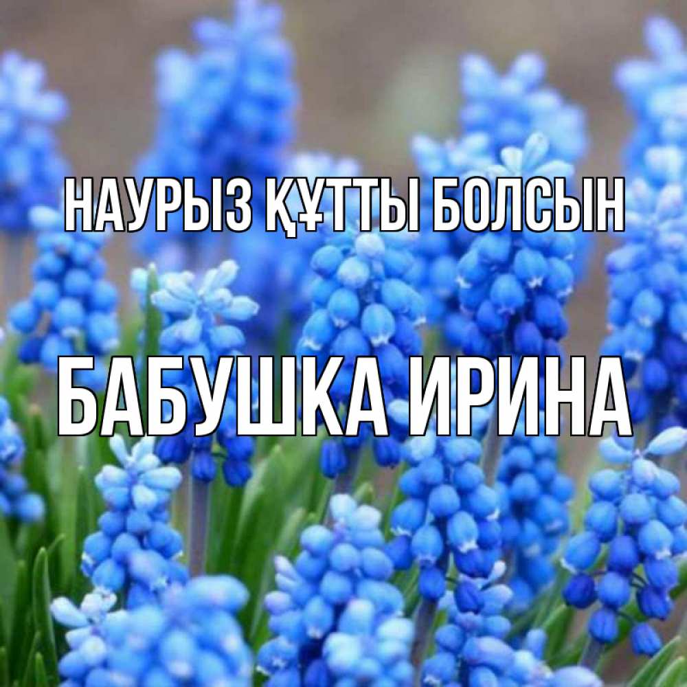 Открытка на каждый день с именем, Бабушка-Ирина Наурыз құтты болсын Поздравительная открытка для женщин с цветами на праздничную дату Прикольная открытка с пожеланием онлайн скачать бесплатно 