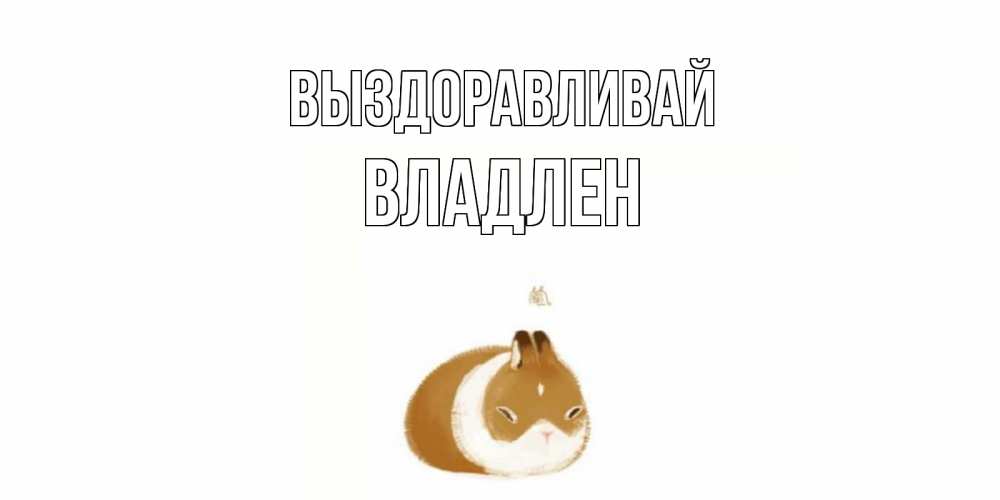 Открытка на каждый день с именем, Владлен Выздоравливай морская свинка на открытке с пожеланиями не болеть Прикольная открытка с пожеланием онлайн скачать бесплатно 