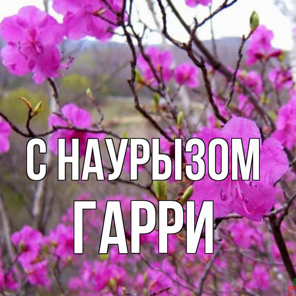 Открытка на каждый день с именем, Гарри С наурызом праздник весны наурыз Прикольная открытка с пожеланием онлайн скачать бесплатно 