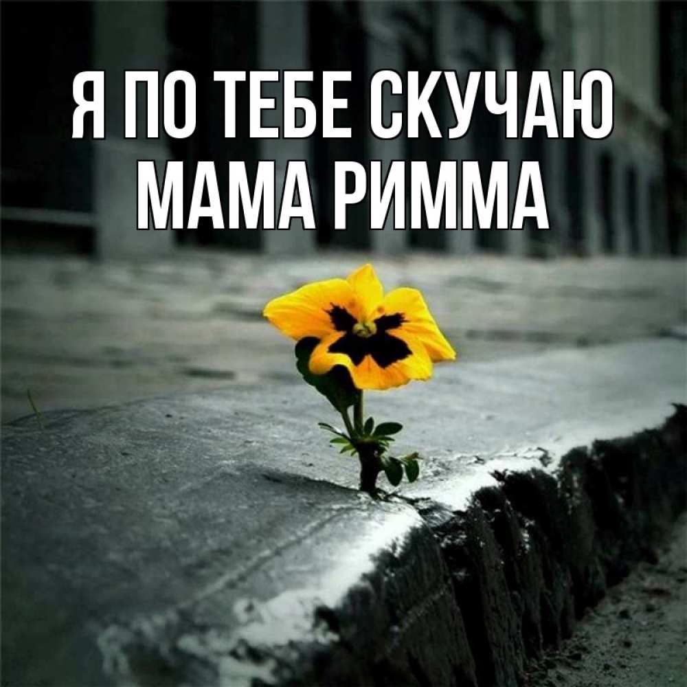 Открытка на каждый день с именем, Мама-Римма Я по тебе скучаю надеюсь будет лучше Прикольная открытка с пожеланием онлайн скачать бесплатно 