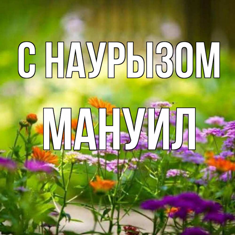 Открытка на каждый день с именем, Мануил С наурызом цветы Прикольная открытка с пожеланием онлайн скачать бесплатно 