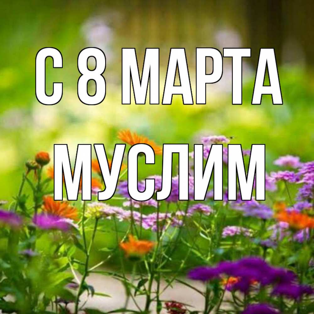 Открытка на каждый день с именем, Муслим С 8 МАРТА цветы Прикольная открытка с пожеланием онлайн скачать бесплатно 