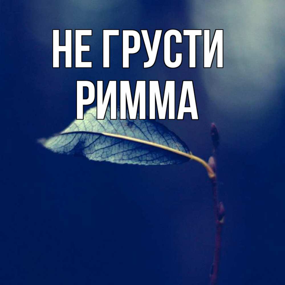 Открытка на каждый день с именем, Римма Не грусти растение Прикольная открытка с пожеланием онлайн скачать бесплатно 
