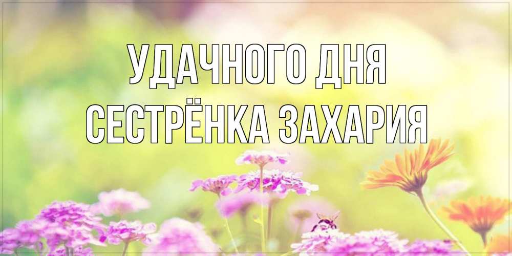 Открытка на каждый день с именем, Сестрёнка-Захария Удачного дня красивая открытка с летней темой Прикольная открытка с пожеланием онлайн скачать бесплатно 