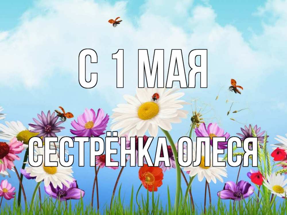 Открытка на каждый день с именем, Сестрёнка-Олеся С 1 мая С 1 мая Прикольная открытка с пожеланием онлайн скачать бесплатно 