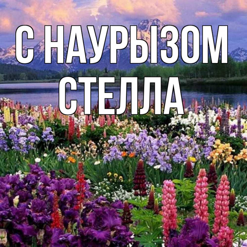 Открытка на каждый день с именем, Стелла С наурызом праздник весны наурыз Прикольная открытка с пожеланием онлайн скачать бесплатно 