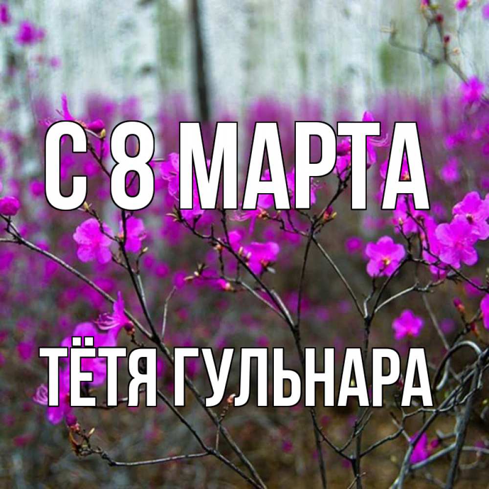 Открытка на каждый день с именем, Тётя-Гульнара С 8 МАРТА дикие цветы Прикольная открытка с пожеланием онлайн скачать бесплатно 
