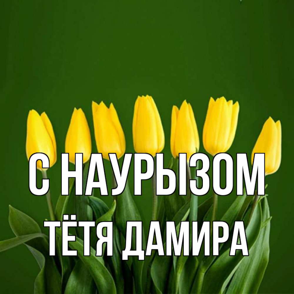 Открытка на каждый день с именем, Тётя-Дамира С наурызом желтого цвета 3 Прикольная открытка с пожеланием онлайн скачать бесплатно 