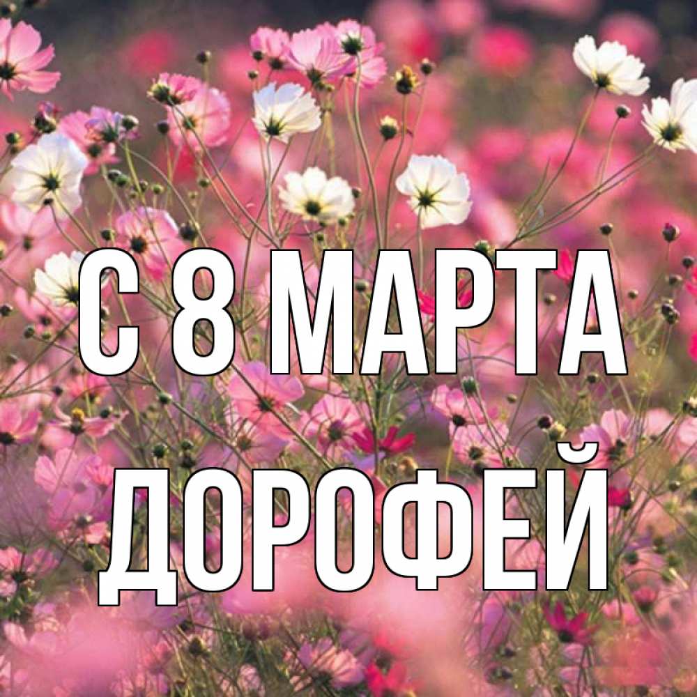 Открытка на каждый день с именем, Дорофей С 8 МАРТА красиво 1 Прикольная открытка с пожеланием онлайн скачать бесплатно 
