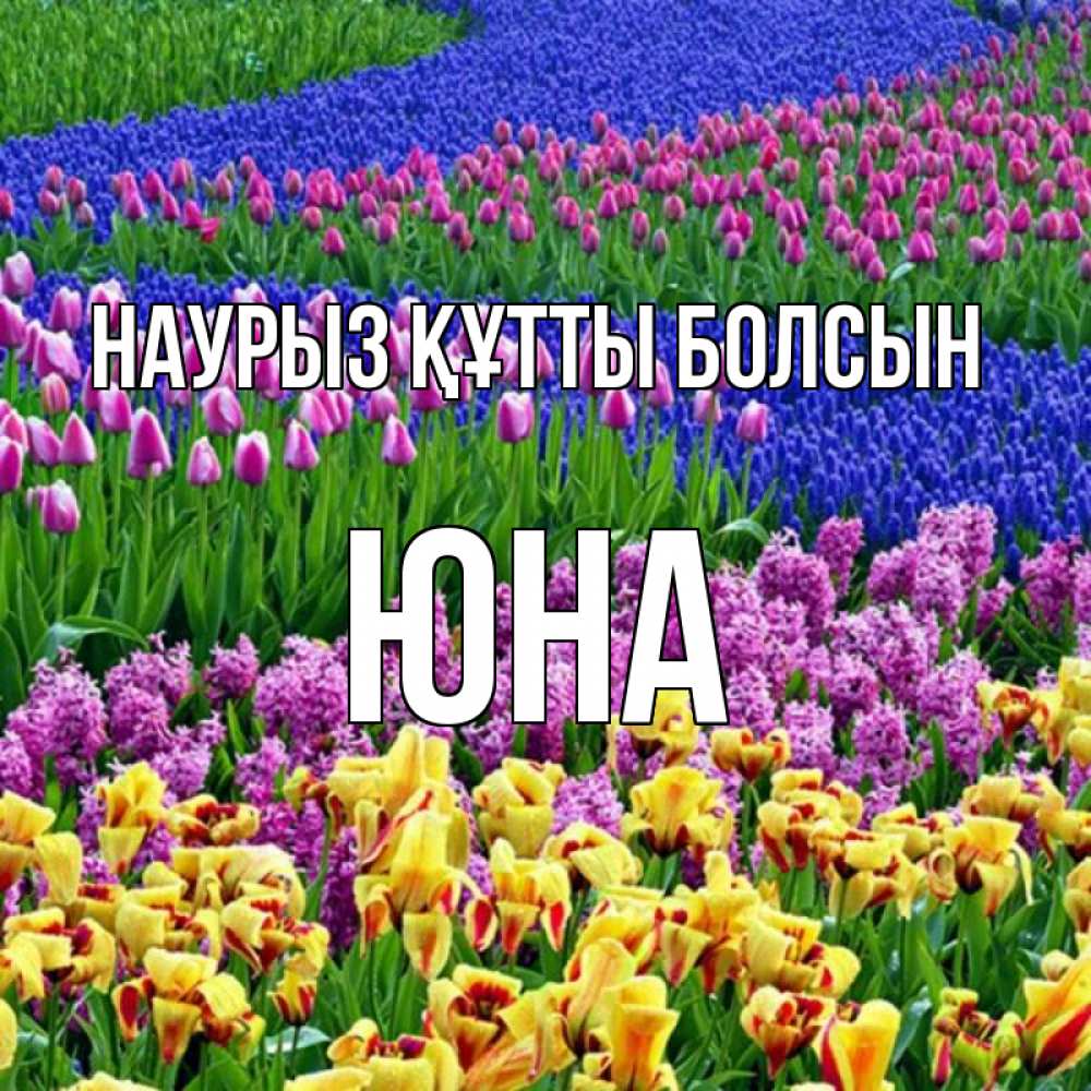 Открытка на каждый день с именем, Юна Наурыз құтты болсын цветы Прикольная открытка с пожеланием онлайн скачать бесплатно 