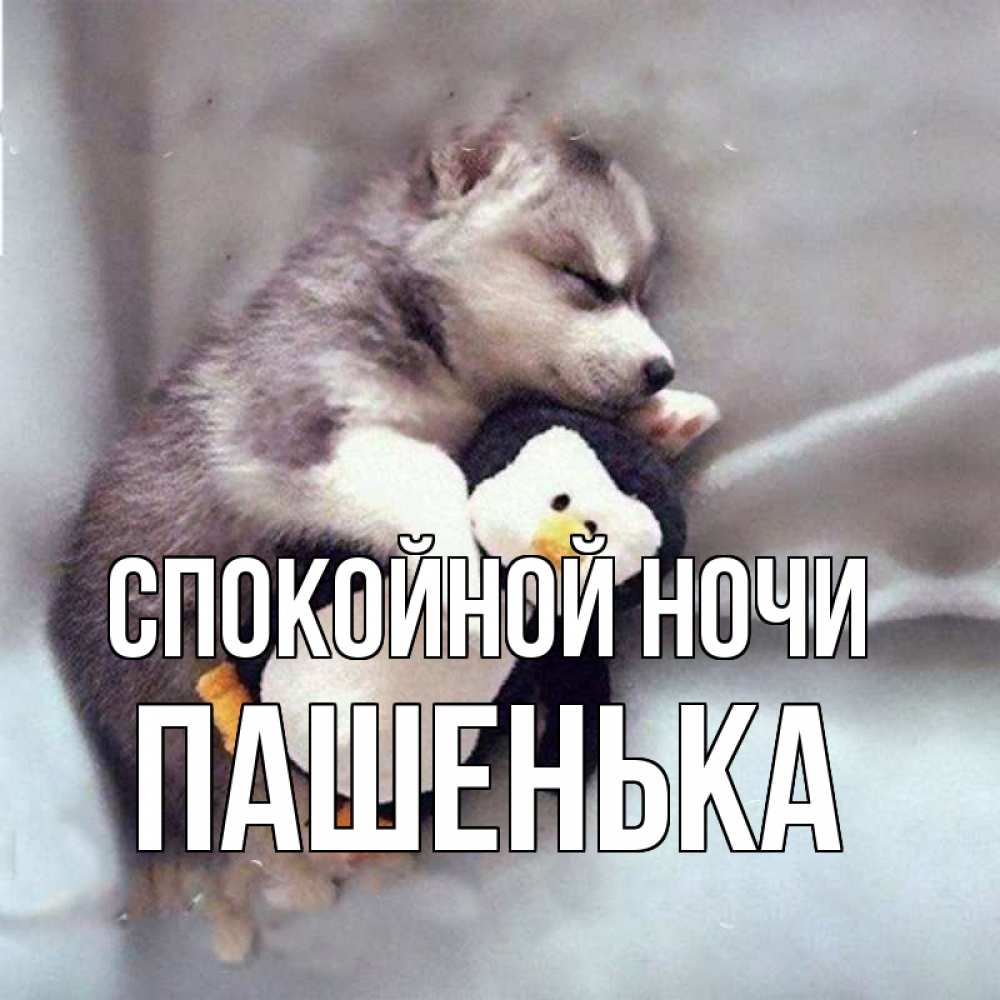 Привет кисуля