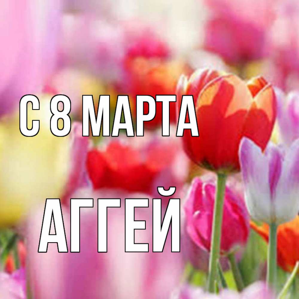 Открытка на каждый день с именем, Аггей С 8 МАРТА на международный женский день 2 Прикольная открытка с пожеланием онлайн скачать бесплатно 