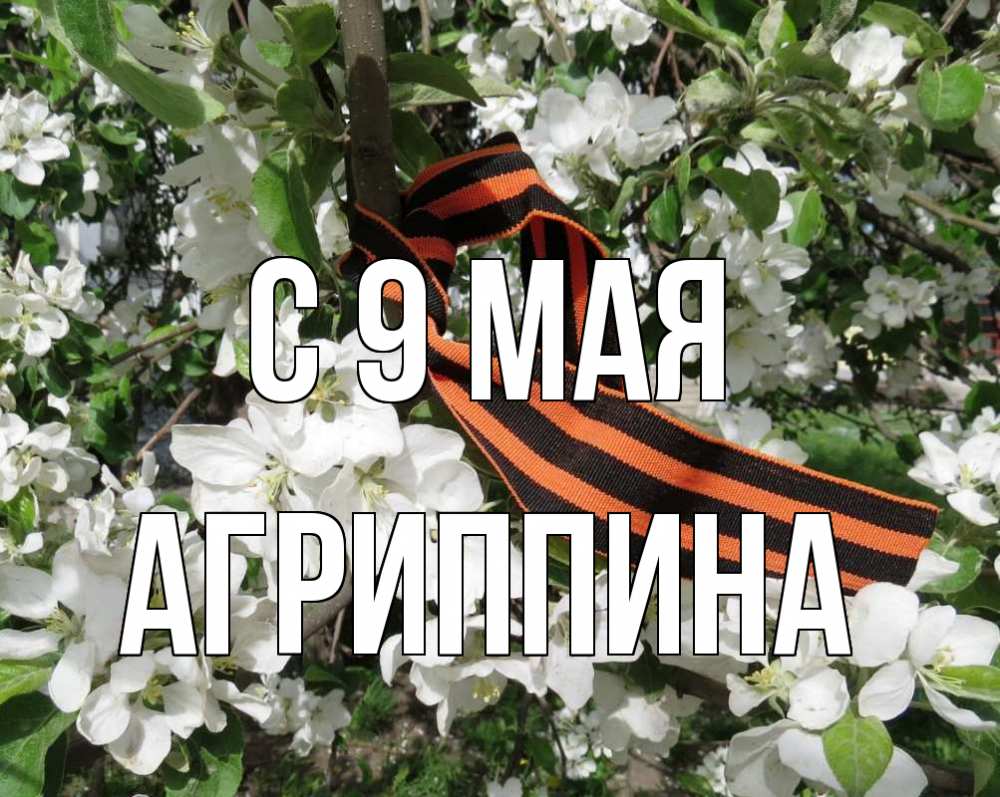 Открытка на каждый день с именем, Агриппина С 9 мая 9 мая Прикольная открытка с пожеланием онлайн скачать бесплатно 