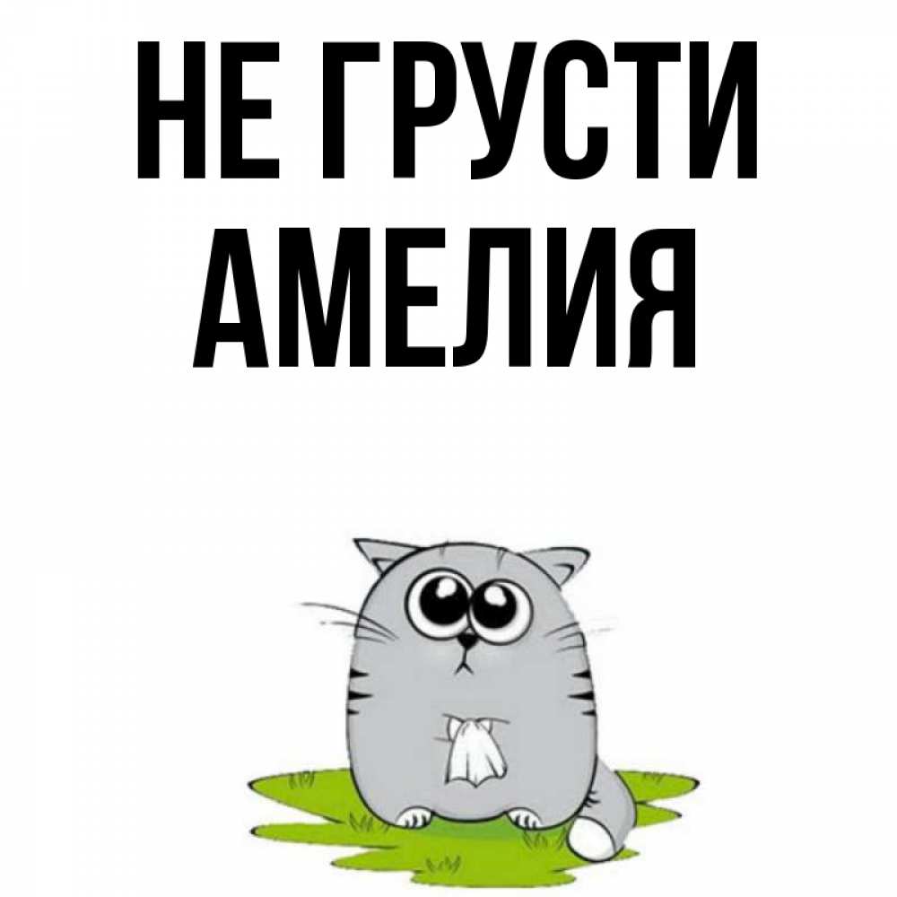 Открытка на каждый день с именем, Амелия Не грусти грустный котяра Прикольная открытка с пожеланием онлайн скачать бесплатно 