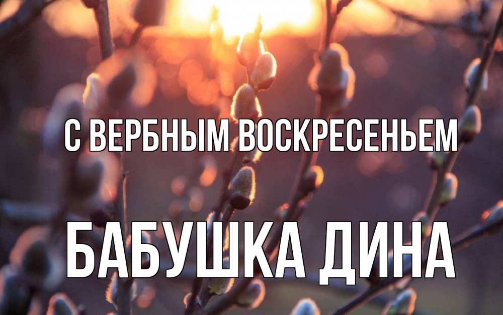 Открытка на каждый день с именем, Бабушка-Дина С вербным воскресеньем верба Прикольная открытка с пожеланием онлайн скачать бесплатно 