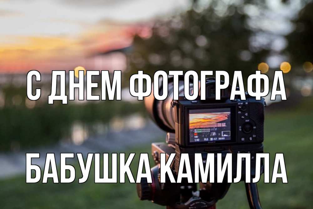 Открытка на каждый день с именем, Бабушка-Камилла С днем фотографа с днем фотографа Прикольная открытка с пожеланием онлайн скачать бесплатно 
