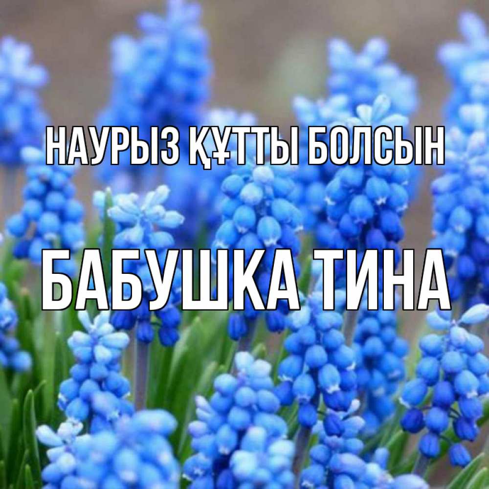 Открытка на каждый день с именем, Бабушка-Тина Наурыз құтты болсын Поздравительная открытка для женщин с цветами на праздничную дату Прикольная открытка с пожеланием онлайн скачать бесплатно 