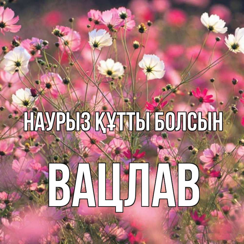 Открытка на каждый день с именем, Вацлав Наурыз құтты болсын красиво 1 Прикольная открытка с пожеланием онлайн скачать бесплатно 