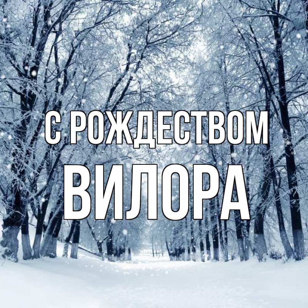 Открытка на каждый день с именем, Вилора С рождеством снег, лес, парк Прикольная открытка с пожеланием онлайн скачать бесплатно 