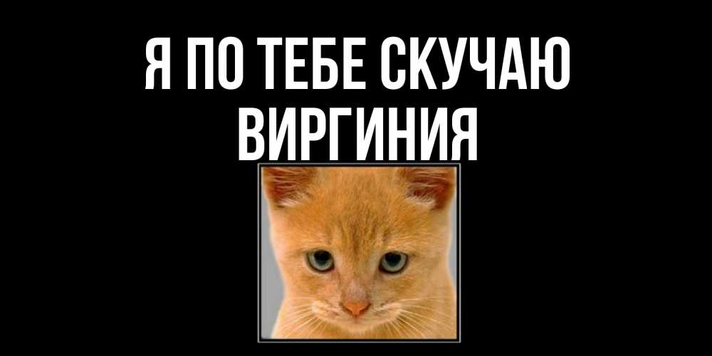 Открытка на каждый день с именем, Виргиния Я по тебе скучаю открытки рыжий котенок скучает по тебе Прикольная открытка с пожеланием онлайн скачать бесплатно 